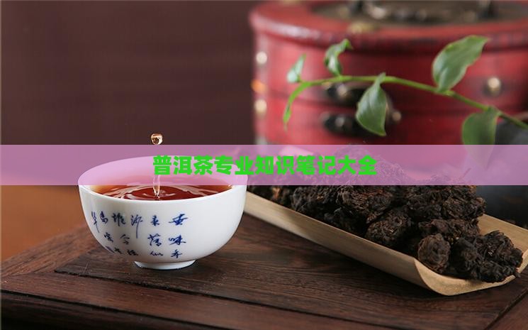 普洱茶专业知识笔记
