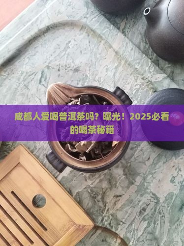 成都人喜欢喝普洱茶吗