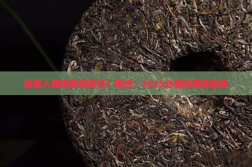 成都人喜欢喝普洱茶吗