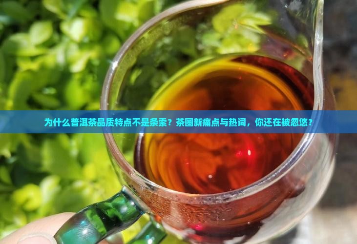 普洱茶品质特点是条索