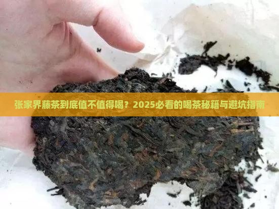 张家界藤茶张家界喝茶