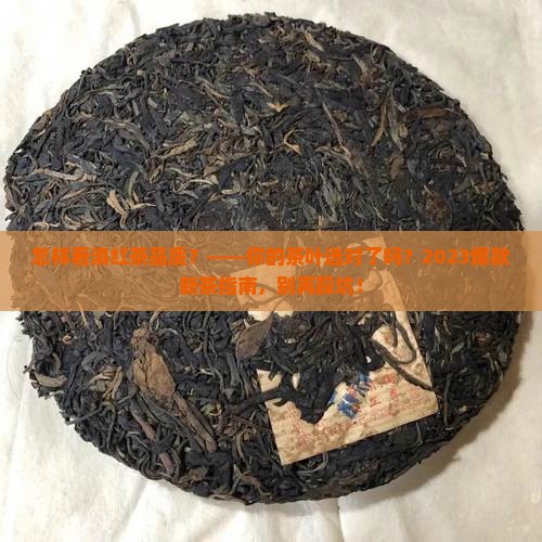 怎样看滇红茶品质