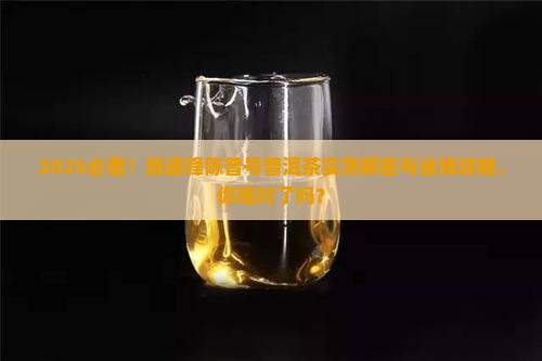 陈道锋陈普号普洱茶