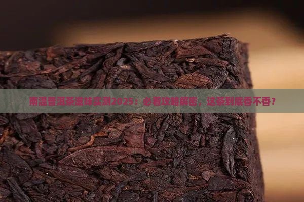 南温普洱茶滋味