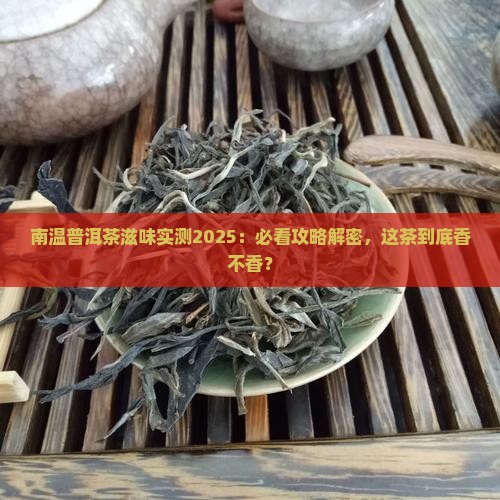南温普洱茶滋味