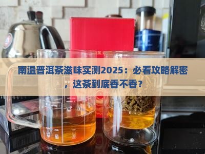 南温普洱茶滋味