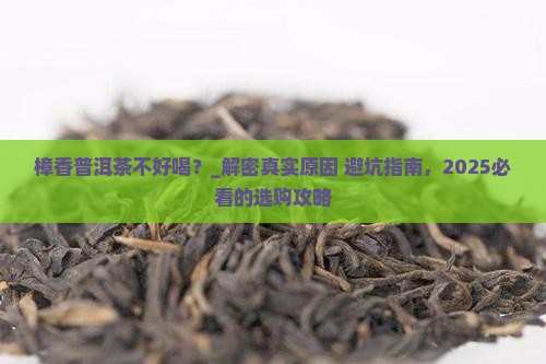 樟香普洱茶不好喝
