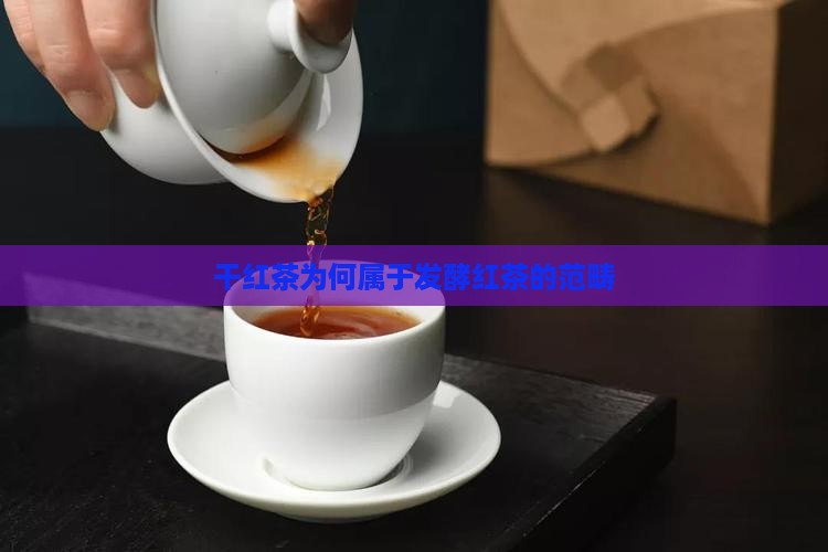 干红茶为何属于发酵红茶的范畴