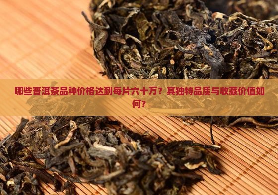 哪些普洱茶品种价格达到每片六十万？其独特品质与收藏价值如何？