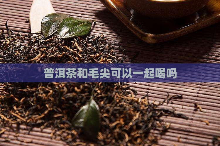 普洱茶和毛尖可以一起喝吗