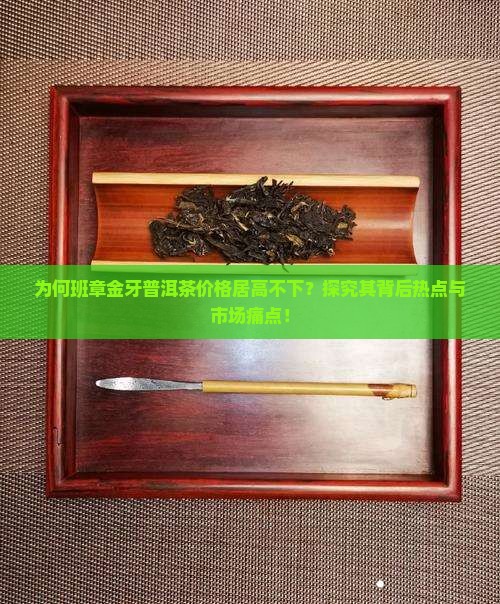 为何班章金牙普洱茶价格居高不下？探究其背后热点与市场痛点！
