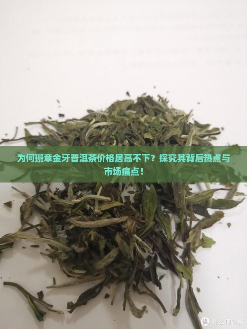为何班章金牙普洱茶价格居高不下？探究其背后热点与市场痛点！