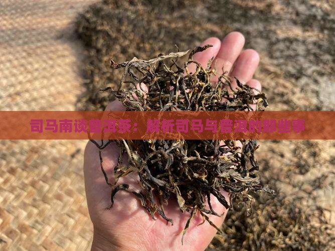 司马南谈普洱茶：解析司马与普洱的那些事