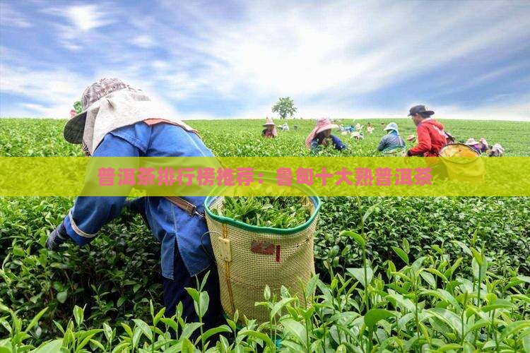 普洱茶排行榜推荐：鲁甸十大熟普洱茶