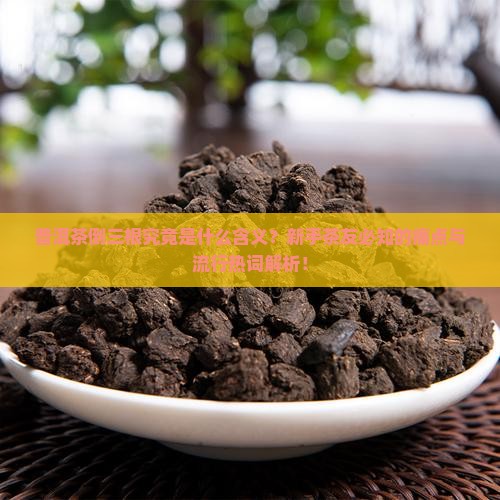 普洱茶倒三根究竟是什么含义？新手茶友必知的痛点与流行热词解析！