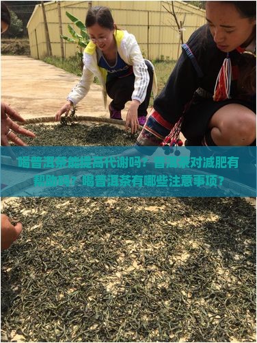 喝普洱茶能提高代谢吗？普洱茶对减肥有帮助吗？喝普洱茶有哪些注意事项？