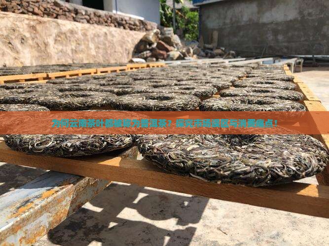 为何云南茶叶都被称为普洱茶？探究市场误区与消费痛点！