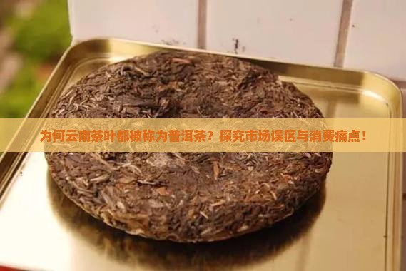 为何云南茶叶都被称为普洱茶？探究市场误区与消费痛点！