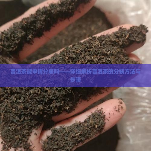 普洱茶能申请分装吗——详细解析普洱茶的分装方法与步骤