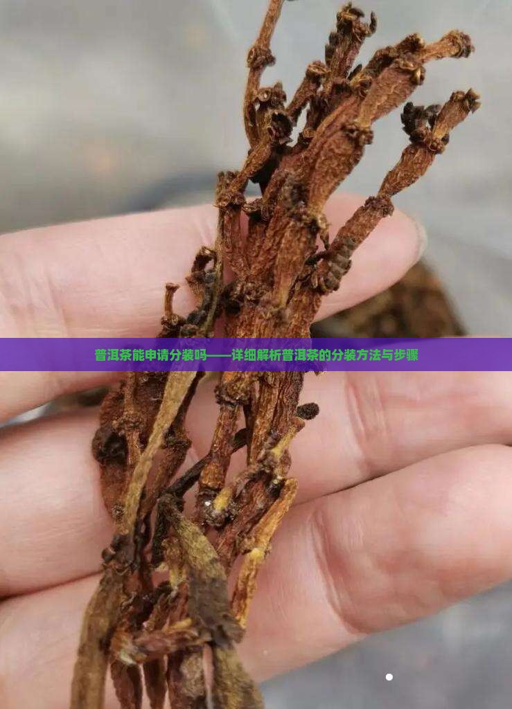 普洱茶能申请分装吗——详细解析普洱茶的分装方法与步骤