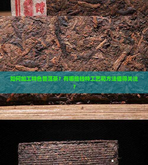 如何加工特色普洱茶？有哪些独特工艺和方法值得关注？