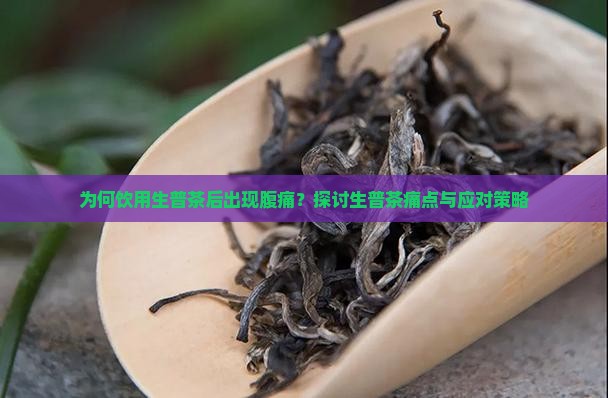 为何饮用生普茶后出现腹痛？探讨生普茶痛点与应对策略
