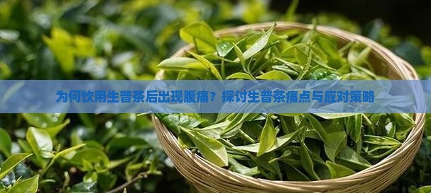 为何饮用生普茶后出现腹痛？探讨生普茶痛点与应对策略