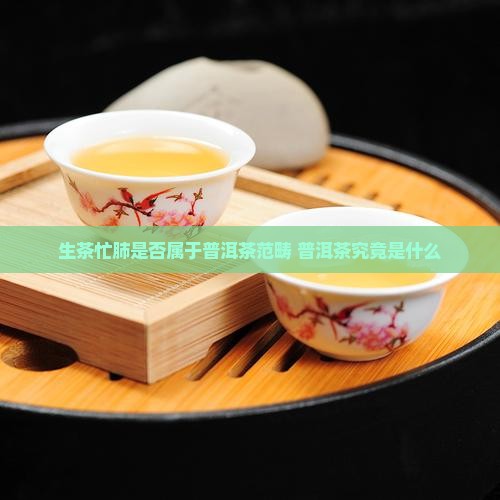 生茶忙肺是否属于普洱茶范畴 普洱茶究竟是什么