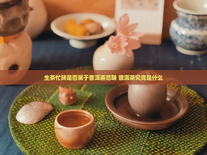 生茶忙肺是否属于普洱茶范畴 普洱茶究竟是什么