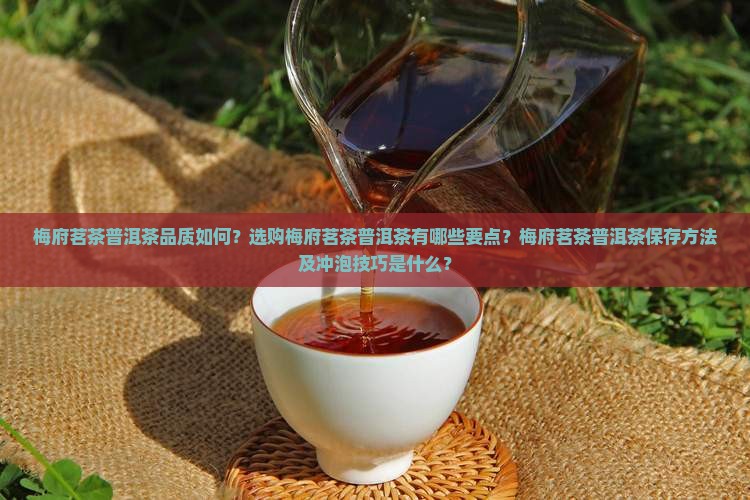 梅府茗茶普洱茶品质如何？选购梅府茗茶普洱茶有哪些要点？梅府茗茶普洱茶保存方法及冲泡技巧是什么？