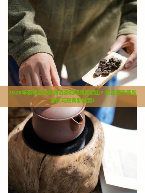 2020年茶博会金奖普洱茶如何脱颖而出？普洱茶市场新痛点与热词新趋势！