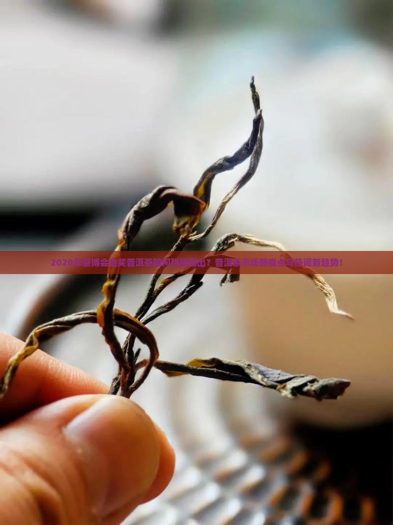 2020年茶博会金奖普洱茶如何脱颖而出？普洱茶市场新痛点与热词新趋势！