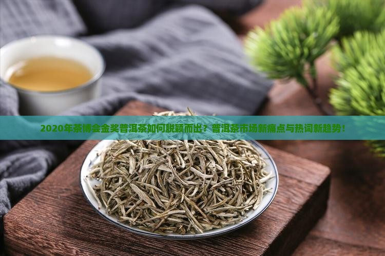 2020年茶博会金奖普洱茶如何脱颖而出？普洱茶市场新痛点与热词新趋势！