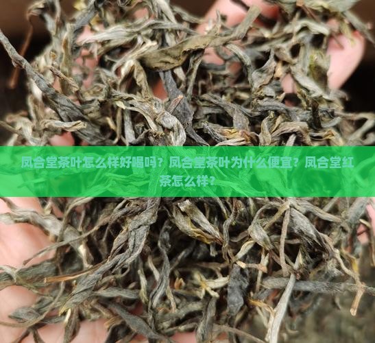 凤合堂茶叶怎么样好喝吗？凤合堂茶叶为什么便宜？凤合堂红茶怎么样？