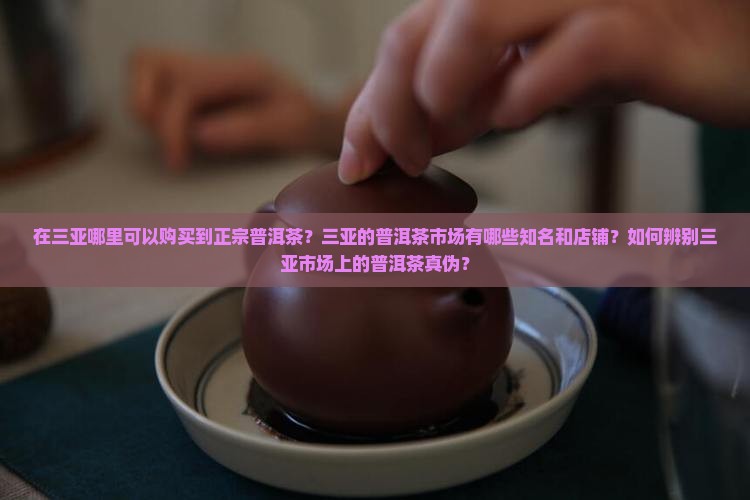 在三亚哪里可以购买到正宗普洱茶？三亚的普洱茶市场有哪些知名和店铺？如何辨别三亚市场上的普洱茶真伪？