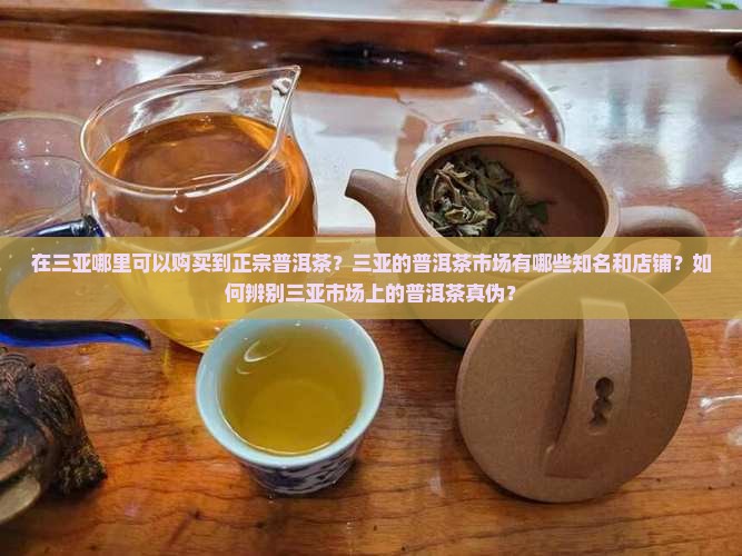 在三亚哪里可以购买到正宗普洱茶？三亚的普洱茶市场有哪些知名和店铺？如何辨别三亚市场上的普洱茶真伪？