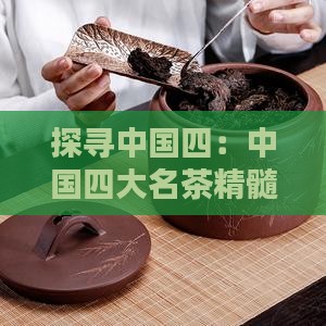 探寻中国四：中国四大名茶精髓