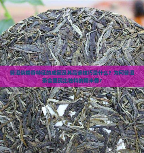 普洱茶糯香特征的成因及其品鉴技巧是什么？为何普洱茶会呈现出独特的糯米香？