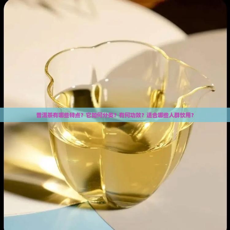 普洱茶有哪些特点？它如何分类？有何功效？适合哪些人群饮用？