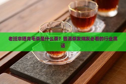 老班章晒青毛茶是什么茶？普洱茶发烧友必看的行业黑话