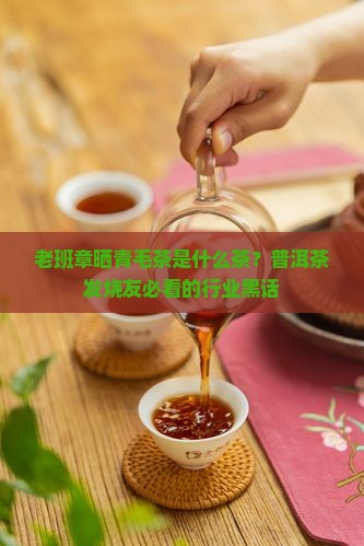 老班章晒青毛茶是什么茶？普洱茶发烧友必看的行业黑话