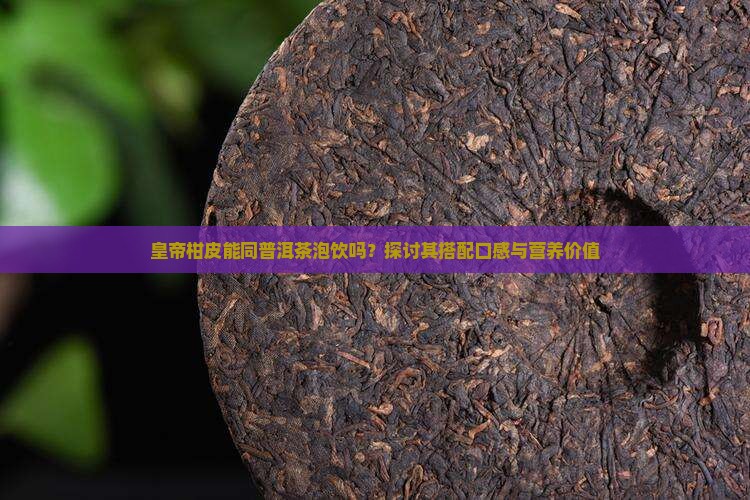 皇帝柑皮能同普洱茶泡饮吗？探讨其搭配口感与营养价值