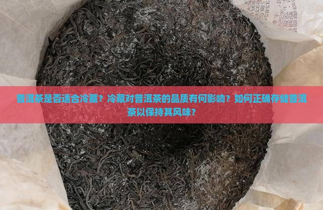 普洱茶是否适合冷藏？冷藏对普洱茶的品质有何影响？如何正确存储普洱茶以保持其风味？