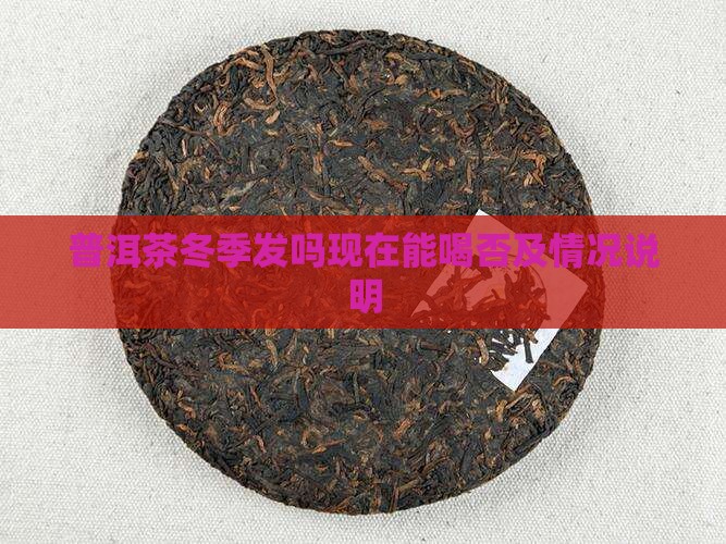普洱茶冬季发吗现在能喝否及情况说明