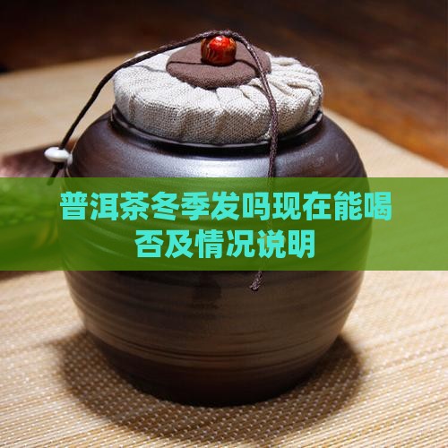 普洱茶冬季发吗现在能喝否及情况说明