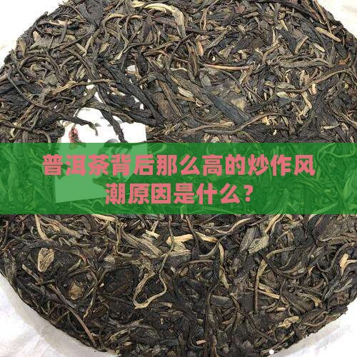 普洱茶背后那么高的炒作风潮原因是什么？
