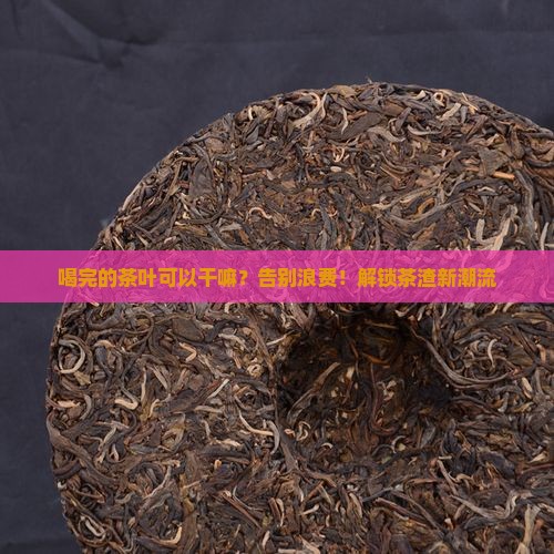 喝完的茶叶可以干嘛？告别浪费！解锁茶渣新潮流