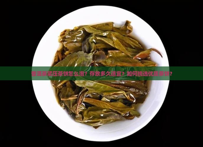 普洱茶紧压茶饼怎么泡？存放多久适宜？如何挑选优质茶饼？