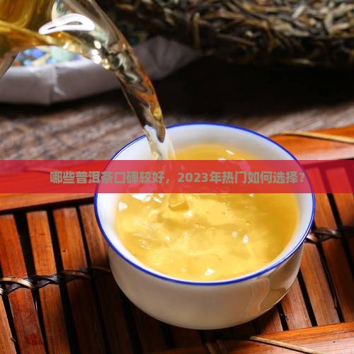 哪些普洱茶口碑较好，2023年热门如何选择？