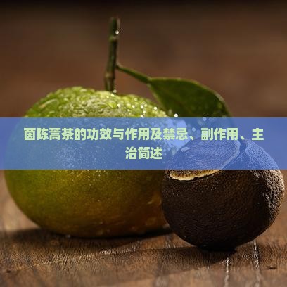 茵陈蒿茶的功效与作用及禁忌、副作用、主治简述